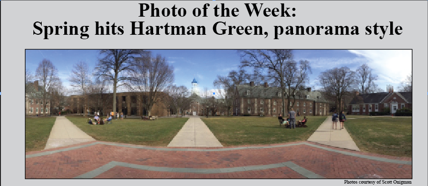 Photo of the Week, 4/6/15: Spring Hits the Hartman Green